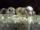 Picture 022