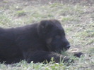 poze 04.05.2009 117