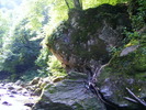 DSCF5205