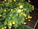 DSC09835