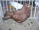 DSC07856
