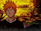 bleach[11]