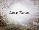 doveslove1