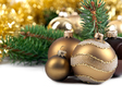 shutterstock_40108846