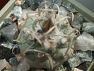 DSCF0457