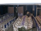 29 aug.2009 020