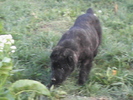 poze 04.05.2009 063