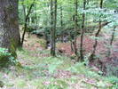 DSCF2557