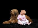 Briard