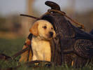 PUP05RK004606