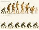 Evolutia umana[1]