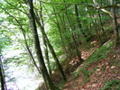 DSCF5354