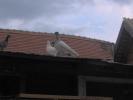Picture 041