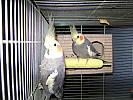 DSC02534
