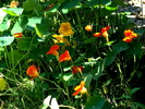 DSC01762_01