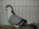 SANY0118
