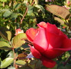 DSCF0750
