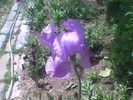 Imag007