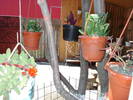 DSC09199