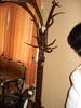 DSC07401