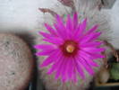 DSC03516