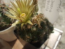 DSCF0979