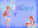Bloom_season_4_by_12hinata[1]