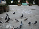 DSCN0153