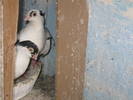 Picture 022