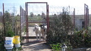 poze 27.09.2009 001