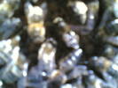 05012006(006)
