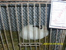 Picture 066