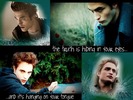 Twilight-twilight-series-3084832-14