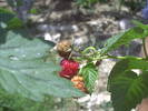 PICT0012