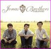 jonas brothers