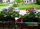 Muscate balcon 19 mai 2009 (2)