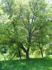 DSCF0513