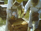DSCN1962