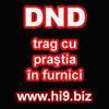 dnd%20trag%20cu%20prastia%20in%20furnici