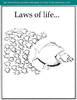 lawsoflife