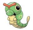 010caterpie
