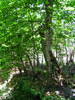 DSCF1012