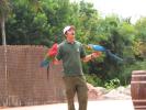 Tenerife 11 aug 2006 Jungle Park show papagali20