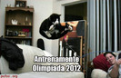 poza-amuzanta-pisica-se-antreneaza-pentru-olimpiada