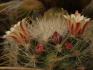 DSC09593