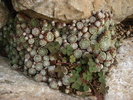 DSC01664