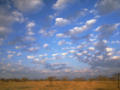 WO_SCN01