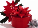 Christmas (92)