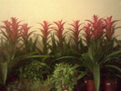 Imag015