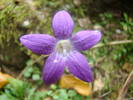 DSC00314